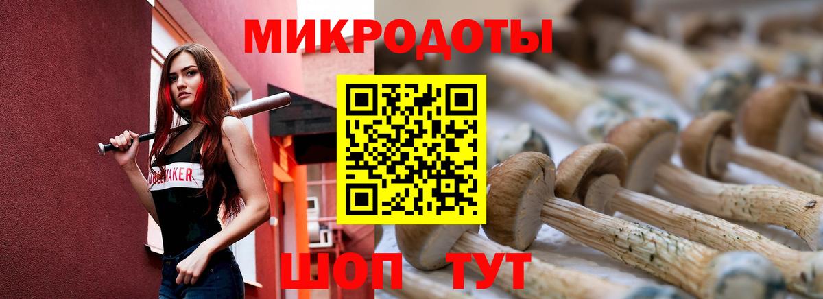 Красноярск  Псилоцибиновые грибы прущие грибы  Вход с VPN 